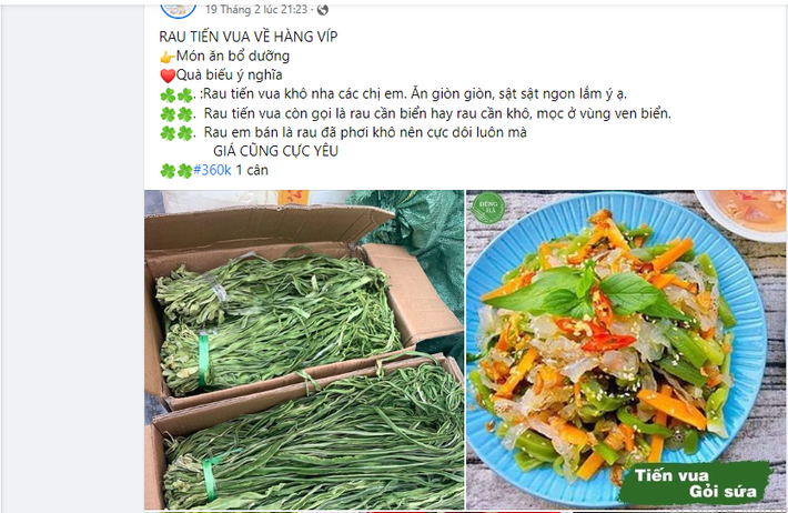 Thời gian gần đây, rau tiến vua được rao bán nhiều trên chợ mạng ở nhiều dạng như tươi, khô, muối chua, ngâm chua ngọt... Ảnh chụp màn hình