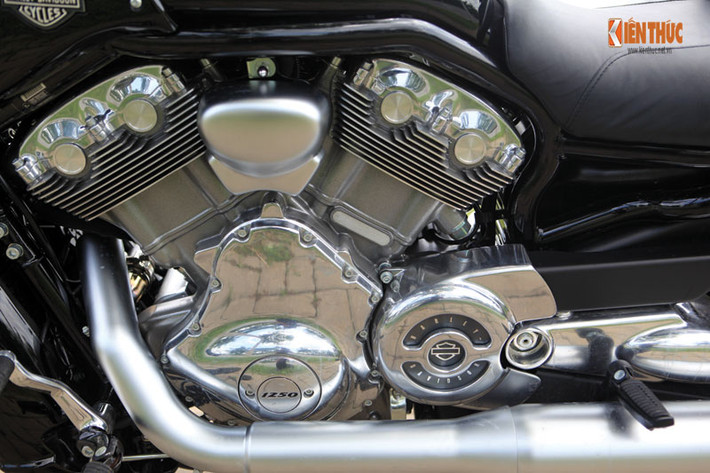 Động cơ Revolution trên V-Rod là thành quả hợp tác giữa Harley-Davidson và Porsche với các đặc điểm dễ nhận biết như kiểu máy V-Twin góc nghiêng 60 độ cùng bộ tản nhiệt phía trước.