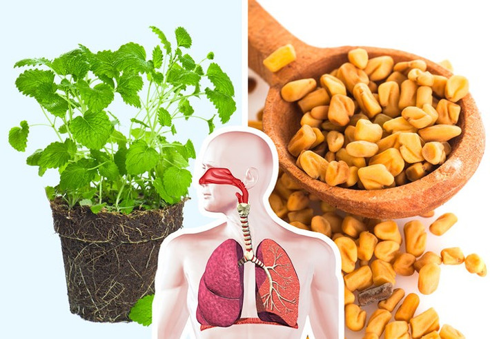 Bạc hà lục và hạt cỏ cà ri: Tiêu hóa đóng một vai trò quan trọng trong giấc ngủ và có thể là một trong những lý do khiến giấc ngủ của bạn bị gián đoạn do ngáy ngủ. Bạc hà lục và hạt cỏ cà ri là các loại thảo dược kỳ diệu có thể chữa chứng ngáy gây ra bởi chứng khó tiêu hoặc bệnh axit ở đường tiêu hóa. Hơn nữa, cả hai đều làm giảm viêm bên trong cơ thể như viêm phế quản, nhiễm trùng mô và ho mãn tính.