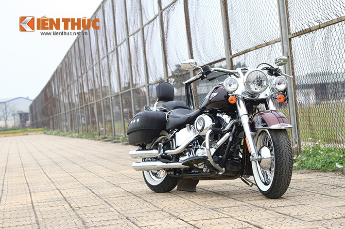 Softail là thương hiệu được dùng trong các dòng xe của Harley-Davidson có hệ thống treo sau được ẩn đi hoặc được tích hợp lại. Xuất hiện trong danh mục từ năm 1984, dòng Softail được đánh giá là một trong những sản phẩm thành công của hãng Harley-Davidson.