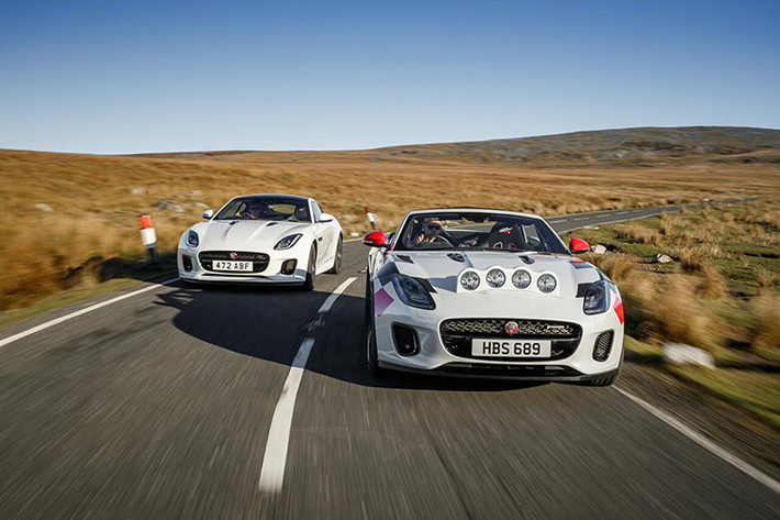 Cả hai phiên bản Jaguar F-TYPE mui trần phong cách xe đua việt dã đều được trang bị khối động cơ xăng Ingenium 4 xy-lanh thẳng hàng dung tích 2.0 lít tăng áp của Jaguar cho công suất tối đa 295 mã lực. Với những cải tiến được giám sát khắt khe bởi bộ phận Thiết kế và Kỹ thuật Jaguar.