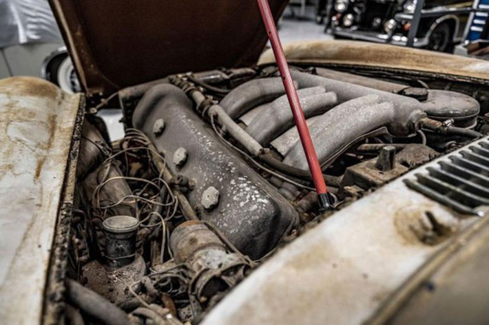 Amelia Island Concours d'Elegance là sự kiện từ thiện ôtô được tổ chức thường niên vào cuối tuần thứ 2 của tháng 3. Sự kiện được tổ chức lần đầu tiên năm 1996. Sự kiện được nhà văn Keith Martin ví như một cuộc thi sắc đẹp cho những chiếc xe quý hiếm và thanh lịch.