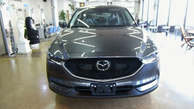 Chiếc Mazda CX-5 2017 trong bài viết này được sản xuất tại nhà máy Ujina Plant No. 2 ở Hiroshima, Nhật Bản. Được biết, chiếc xe này thuộc bản 20S Proactive, thấp thứ 2 trong dòng Mazda CX-5 2017, sau 20S. Tại thị trường này, nó là đối thủ của Honda CR-V thế hệ mới.