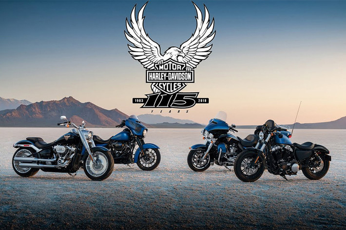 Loạt xe môtô Harley-Davidson 115th Anniversary này được sản xuất giới hạn với số lượng giới hạn từ 900 đến hơn 2400 chiếc tùy từng mẫu xe. Tất cả chúng đều có dấu hiệu nhận diện đặc biệt được đánh dấu với màu sơn xanh dương, kết hợp bộ tem chú đại bàng cách điệu.