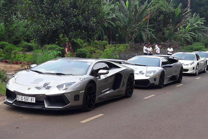 Các siêu xe tham dự vào hành trình xuyên Việt lần này bao gồm Bugatti Veyron, Lamborghini Aventador LP700-4 độ body kit DMC, Lamborghini Murcielago LP670-4 SV, Aston Martin Vanquish và 5 chiếc Ferrari bao gồm các phiên bản Ferrari 458 Italia, Ferrari 458 Spider, phiên bản hiệu suất cao Ferrari 458 Speciale, Ferrari 488 GTB và siêu xe mui trần Ferrari California T.