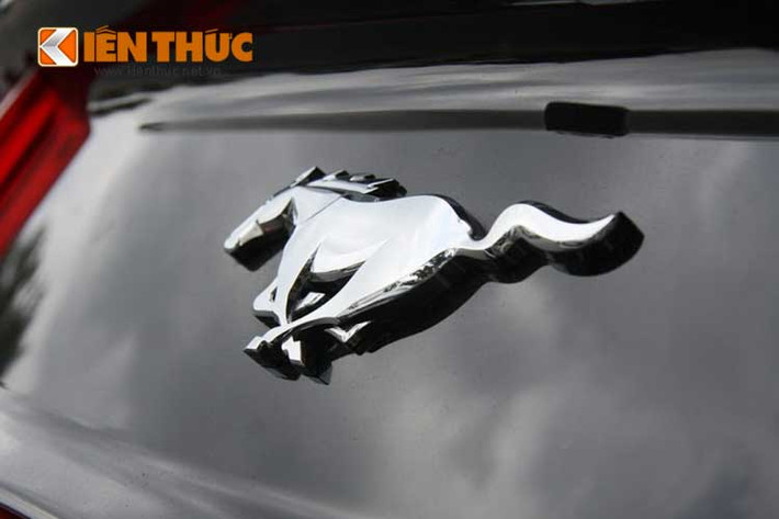 Khác với những mẫu xe Ford thường thấy, sử dụng logo màu xanh, Mustang được gắn logo là biểu tượng chú ngựa đang tung vó, đúng như tên gọi của mình.