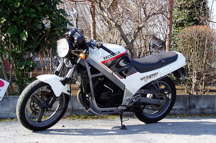 Honda VTZ 250 đời cũ là mẫu naked-bike có xuất xứ tại thị trường Nhật Bản khoảng những năm 90, xe sử dụng động cơ 250 phân khối được nhập về Việt Nam từ khoảng cuối những năm 90. hiện dòng xe này xuất hiện khá ít trên thị trường.