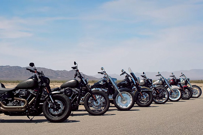 Các mẫu xe bao gồm: Street Bob "giá rẻ", Deluxe cổ điển, Fat Boy bánh béo, Heritaga Classic cho hành trình dài, Slim siêu nhẹ, Breakout thời trang, Fat Bob hầm hố và Low Rider có yên xe thấp. Trong đó, Street Bob, Low Rider và Fat Bob trước đây vốn thuộc dòng Harley-Davidson Dyna.