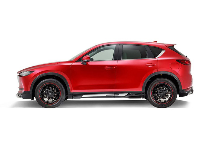Tại Nhật Bản, DAMD là một trong những hãng độ bodykit khá nổi tiếng bởi các mẫu body đặc trưng, kết hợp giữa chất thể thao với sự sang trọng.