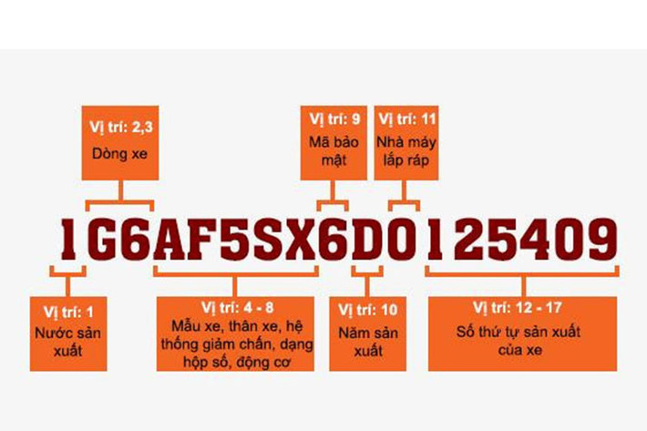 Mỗi chiếc ôtô được sản xuất ra đều có một mã nhận dạng riêng (VIN). Có ba vị trí để tìm là trên khung cửa xe phía ghế lái, trên vách ngăn khoang động cơ và ở dưới kính chắn gió bên lái. Tìm mã này và kiểm tra để đảm bảo rằng chiếc xe đúng như mô tả trong hồ sơ về nhà sản xuất, mẫu mã, hệ thống động cơ, dạng hộp số và năm xuất xưởng.