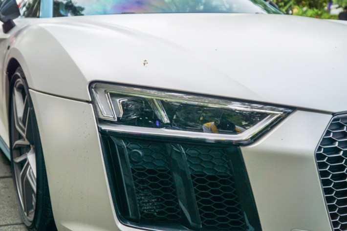 Hiện tại, Việt Nam đã nhập về khoảng 6 chiếc Audi R8 V10 Plus. Chiếc của Cường Đô la là một trong hai chiếc sở hữu ngoại thất màu đen nguyên bản. Siêu xe này sở hữu khung làm bằng nhôm 100% giúp giảm giá thành nhưng vẫn đảm bảo độ cứng và nhẹ. So với những siêu xe dùng khung sợi carbon, R8 rẻ hơn rất nhiều.