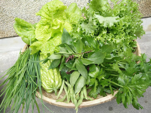 Với số lượng rau trái nhiều, chị Hương chưa bao giờ phải mua rau ngoài chợ hoặc siêu thị.
