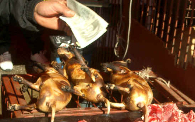 Hiện chợ còn 22 gian hàng bán thịt chó. Trong đó, 15 gian hàng tự nguyện chuyển sang kinh doanh các mặt hàng khác kể từ ngày 27/2 sau quyết định đóng cửa mới đây của chính quyền Hàn Quốc. Ảnh: Delo.