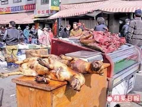 Việc giết mổ tại chợ thịt chó Moran trở thành nỗi ám ảnh với nhiều người. Ảnh: Sina.