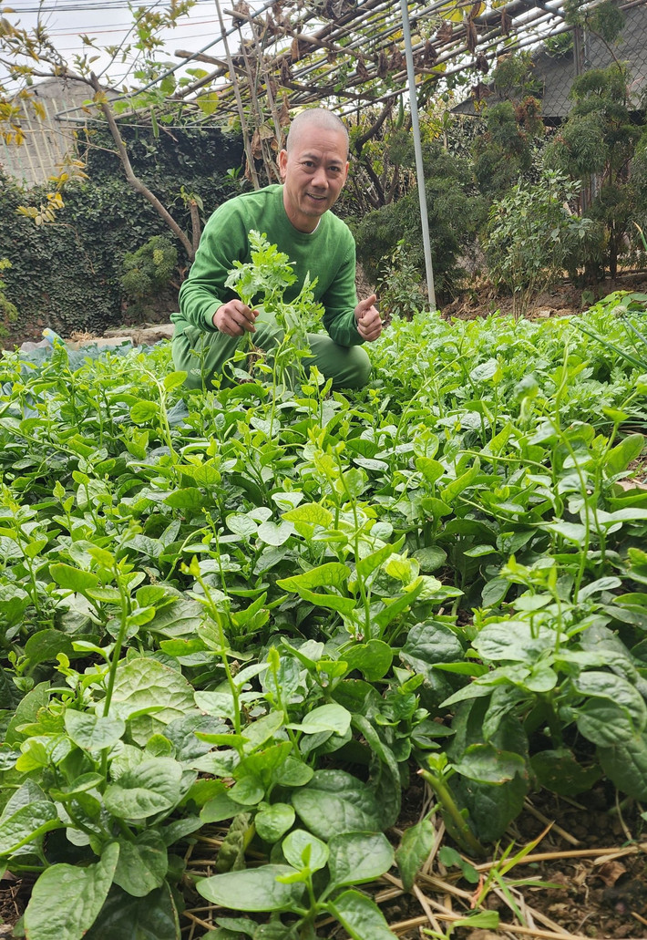 Các luống rau được trồng thẳng hàng, chăm sóc kỹ lưỡng. Ảnh: FB Trần Bình Trọng