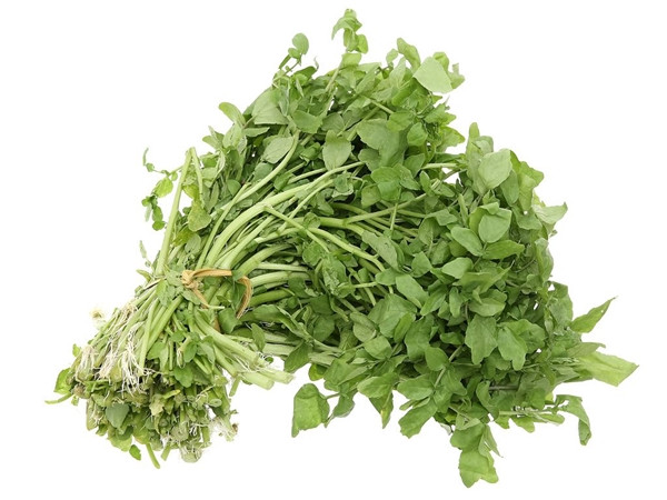 Cải xoong là loại rau lá xanh, nhỏ, thân tròn và có vị hơi cay nồng. Cải xoong cùng họ hàng với cải xoăn, bắp cải. Ảnh: Internet