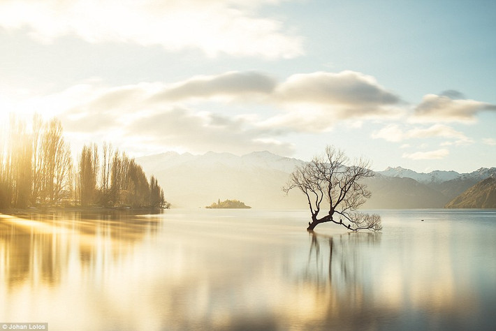 Khung cảnh thơ mộng lúc bình minh trên hồ Wanaka.