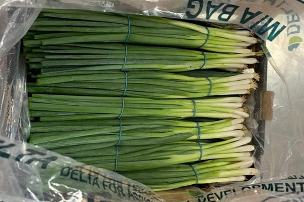 Theo cộng đồng người Việt ở Nhật, hành lá trong siêu thị được bán với giá 35.000 đồng/bó. Ở Nhật Bản, mức giá này được xếp hạng “chấp nhận được” vì vốn dĩ, giá rau củ ở đây không hề rẻ. Ảnh: Dân Việt