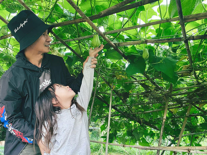Dàn bầu bí, su su ra trái sai trĩu. Ảnh: FBNV