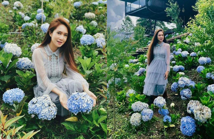 Lý Hải còn thiết kế riêng một khu vườn trồng hoa cẩm tú cầu - loại hoa mà Minh Hà rất thích. Ảnh: FBNV