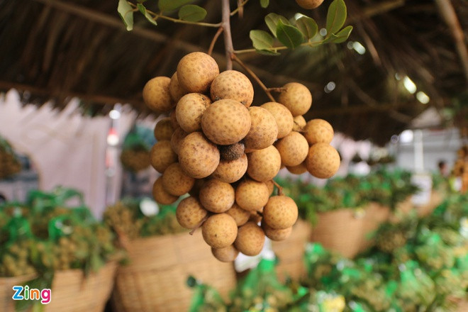 Trong khi quả nhãn bán tại Việt Nam giá trung bình 25.000-35.000 đồng/kg thì sang Australia có giá bán lẻ gần 200.000 đồng. Ảnh: Zing
