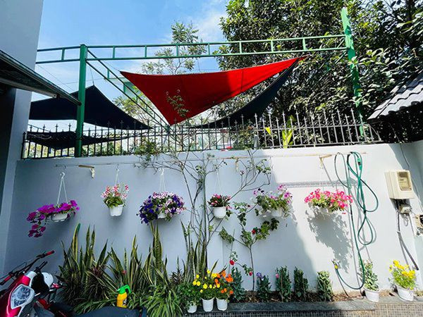 Ở sân trước, Mạc Văn Khoa trồng nhiều cây hoa có sức chịu hạn tốt như dừa cạn, lưỡi hồ...Ảnh: FBNV