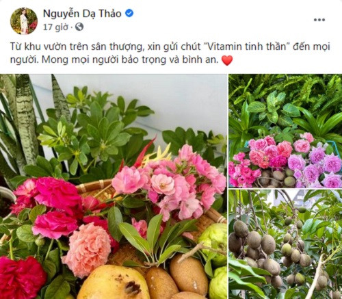 Mới đây, bà xã Quyền Linh - Dạ Thảo chia sẻ trên trang cá nhân khu vườn sai trĩu quả trên sân thượng khiến ai nấy đều ngưỡng mộ.