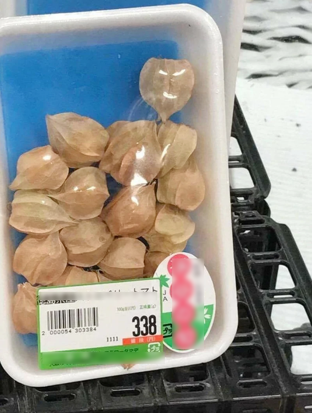Quả tầm bóp mọc dại ở nhiều vùng nông thôn Việt Nam cũng được bán tại siêu thị Nhật với giá 70.000/100g. Ảnh: Facebook.