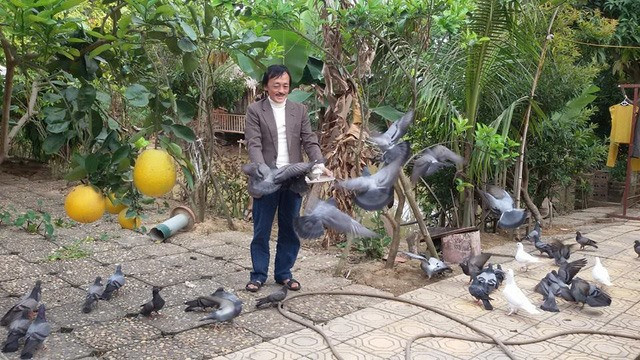 Khu vườn của nghệ sĩ Giang Còi rộng khoảng 10.000m2 bao gồm cả vườn và nhà). Ảnh: Lao động