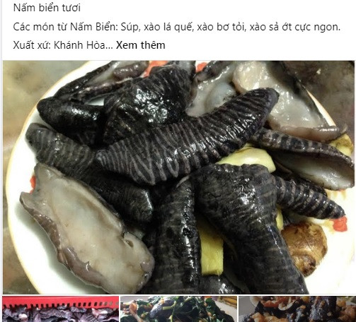 Gần đây, một loại thực phẩm có tên là nấm biển được rao bán tràn lan trên chợ mạng, thu hút sự quan tâm của người tiêu dùng bởi hình dáng khá lạ. Ảnh chụp màn hình