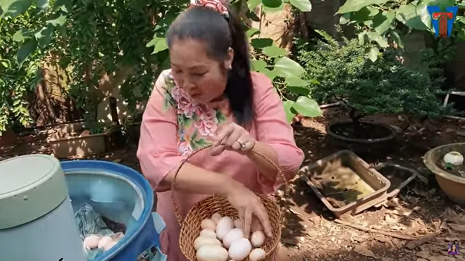 Đáng chú ý, trong vườn, nữ nghệ sĩ còn nuôi cả gà và ngỗng.