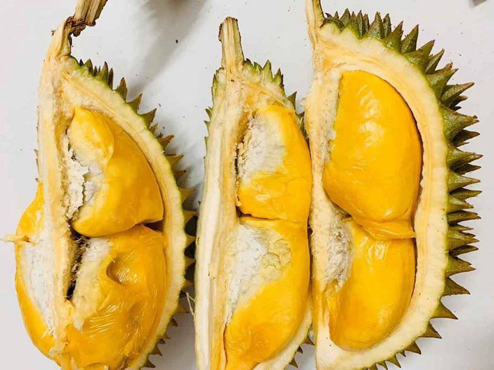 Nhỏ hơn 2/3 so với sầu riêng trong nước, vỏ ngoài sầu riêng mini có nhiều gai nhọn, màu sắc không đổi, bên trong có 4-5 múi nhỏ. Tuy trái nhỏ chỉ đặt vừa trong lòng bàn tay nhưng vỏ mỏng nên múi sầu vẫn béo.