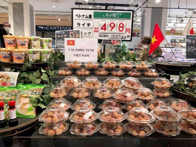 Tính ra, vải thiều Việt Nam bán tại Nhật Bản có giá khoảng 500.000 đồng/kg. Ảnh: MOIT.