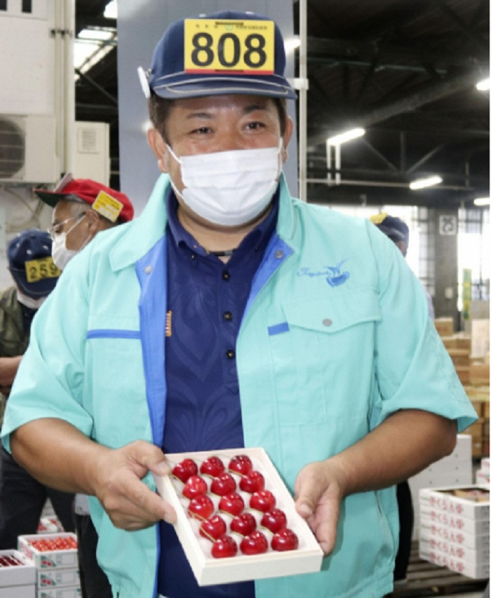 Là đặc sản của tỉnh Aomori, loại cherry hình tim được tung ra thị trường năm 2019 và lần đầu tiên được chuyển tới khu vực khác vào năm nay. Ảnh: Kyodonews