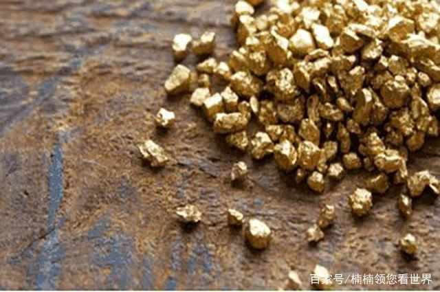 Tin tức này lan truyền rất nhanh và ngay lập tức chính phủ đã ban hành lệnh cấm.