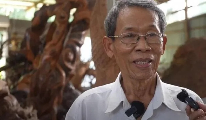 Theo chủ cây, từng có "đại gia bí ẩn" trả 30 tỷ rồi 32 tỷ đồng nhưng ông vẫn lắc đầu không bán.