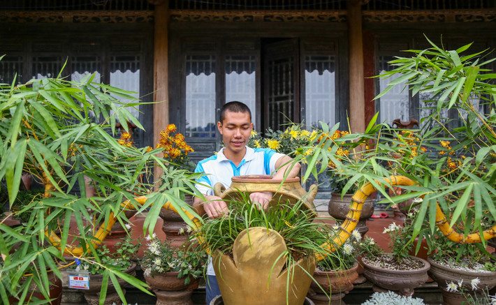 “Lưỡng Long chầu nhật” được tạo hình từ 2 cây tre ngà mọc đối xứng, tạo tán hài hoà, đẹp mắt với hình dáng uốn lượn, mô phỏng 2 con rồng cùng hướng về hình tròn ở giữa, tượng trưng cho mặt trời. Ảnh: Dân trí