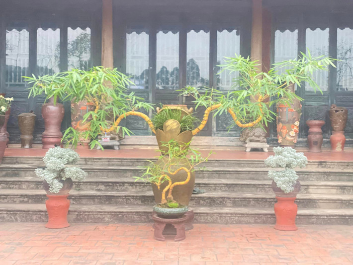 Từ khi tác phẩm tre bonsai “Lưỡng Long chầu nhật” xuất hiện trên truyền hình, trong buổi tiệc trà cấp Nhà nước, khách từ khắp nơi tìm đến chiêm ngưỡng và xin chụp hình lưu niệm. Đáng chú ý, nhiều người sẵn sàng chi tiền "khủng" để sở hữu nhưng chủ nhân không bán. Ảnh: FBNV