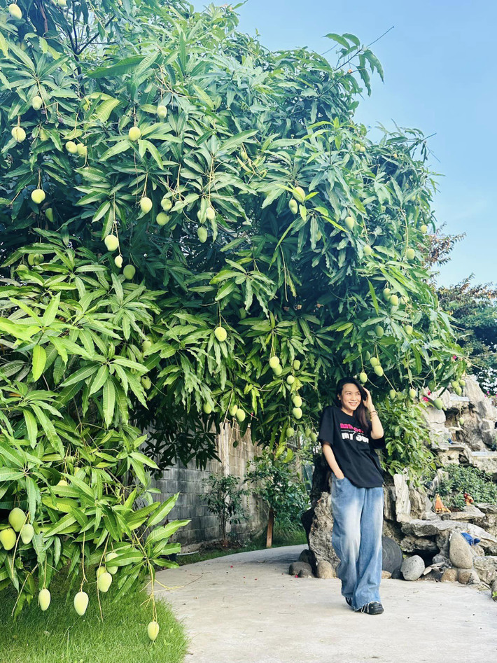 Qua đây, khán giả biết thêm được ngôi nhà vườn rộng như "biệt phủ" của ca sĩ Mỹ Tâm.