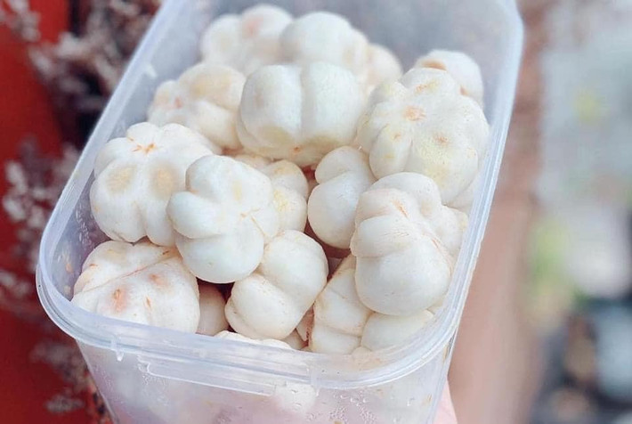 Chị Nhi (một người bán hàng online) cho biết, đầu mùa giá măng cụt xanh còn hơi đắt nhưng khoảng hơn 1 tháng nữa, giá sẽ rẻ hơn, từ 500.000 - 550.000 đồng/kg măng cụt gọt vỏ.