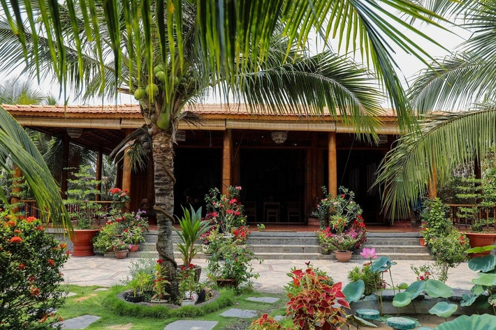 Do gỗ dừa khá đặc biệt, gồm nhiều thớ đan kết vào nhau và tạo thành lớp, chỉ khi cây dừa đạt độ từ 30 tuổi trở lên mới có thể dùng được. Riêng làm cột thì dừa phải có tuổi từ 60 - 70 mới đủ độ cứng và bền. Ảnh: Dân trí