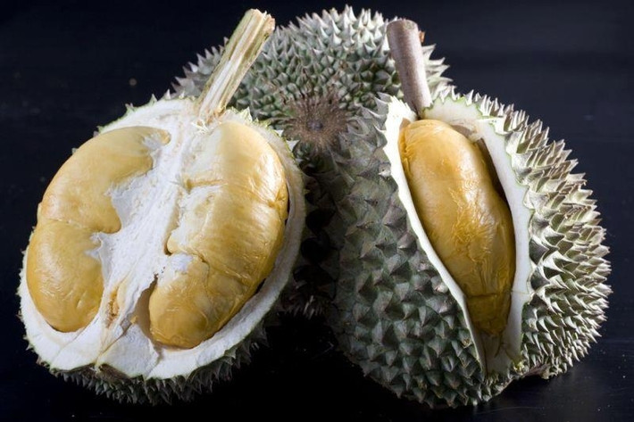 Black Thorn là giống sầu riêng có nguồn gốc từ Malaysia. Tại quốc gia này, sầu riêng Black Thorn được định vị cao cấp hơn cả sầu riêng Musangking.