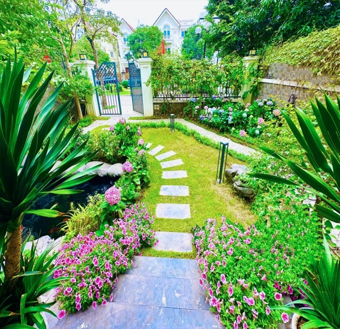 Dạ yến thảo màu tím xinh xắn.