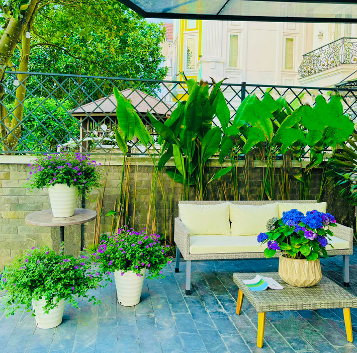 Ngoài cẩm tú cầu, nữ diễn viên còn rất biết cách "lột xác" cho khu vườn bằng cách trồng thêm nhiều loại hoa khách để không gian trở nên lạ mắt.