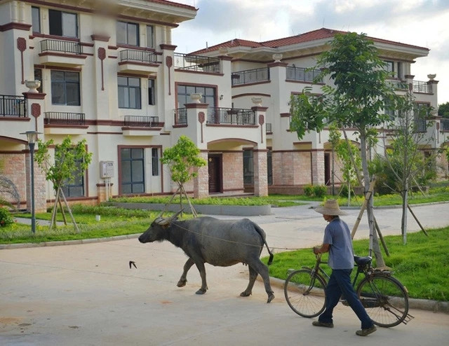 Mỗi căn biệt thự đều có sân để chơi thể thao và thậm chí còn có cả sân khấu cho các sự kiện khác nhau. Việc xây dựng đã được hoàn thành vào năm 2016.