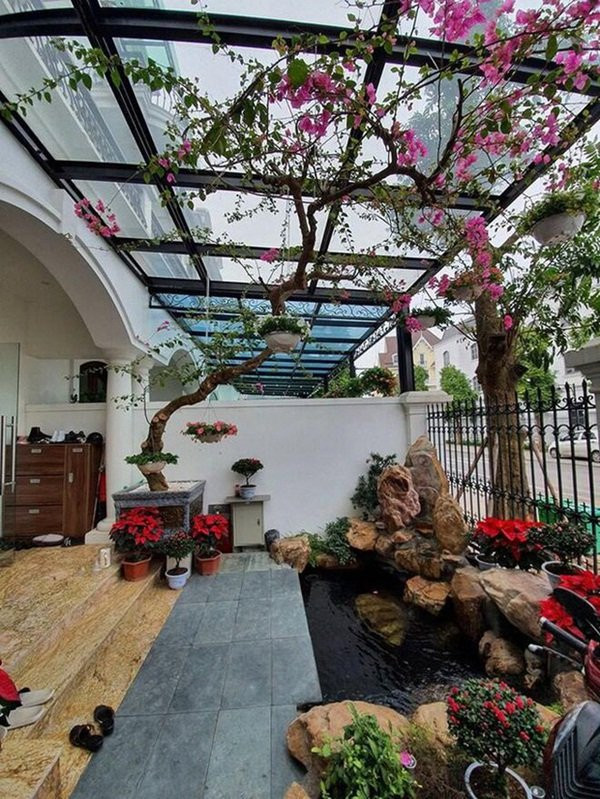 Trước nhà là một khoảng sân nhỏ được điểm tô bằng một hồ cá và nhiều cây cảnh quý.