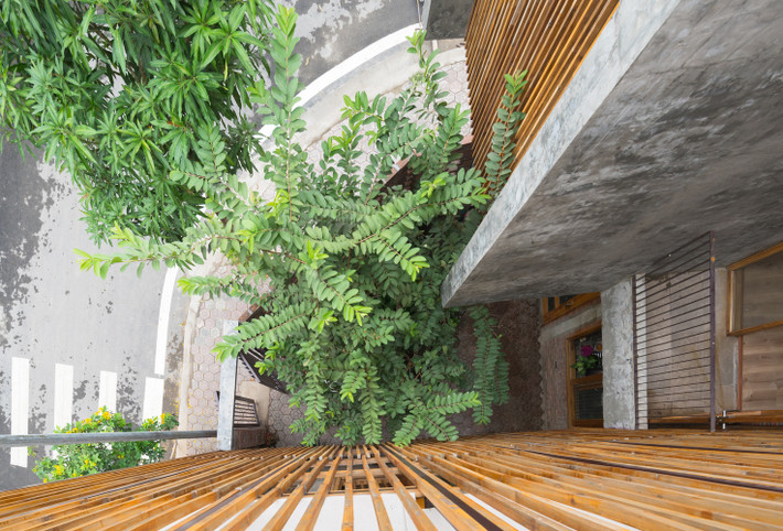 Đặt nhiều tâm tư với sự phát triển của kiến trúc xanh nên trong tổ ấm của chính mình, anh đã giải quyết bài toán để đưa sân vườn, cây xanh vào không gian sống thật hài hòa.
