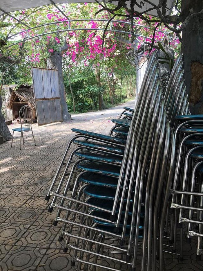 Trước cổng nhà được nghệ sĩ trồng cây hoa giấy. Ảnh: Vietnamnet.
