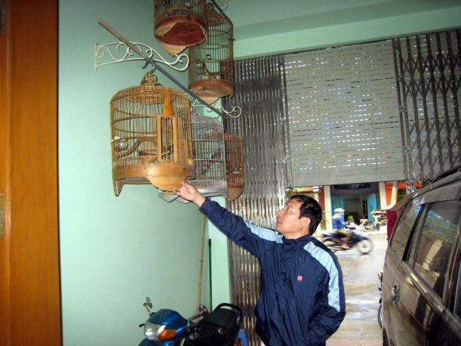 Trong căn nhà khang trang ở Hải Phòng, Quang Thắng treo rất nhiều lồng chim.