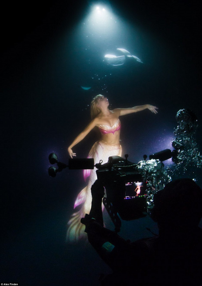 Hannah cùng nhiếp ảnh gia Shawn Heinrichs thực hiện những bức ảnh ngoạn mục này ở ngoài khơi Hawaii. Đây là khu vực bảo tồn cá đuối lớn nhất thế giới.